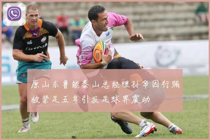 原山东鲁能泰山总经理孙华因行贿被禁足五年引发足球界震动